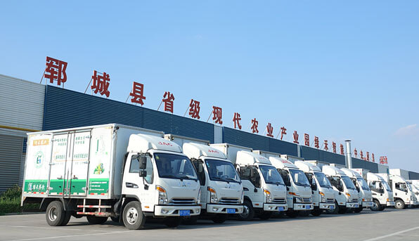 蘇州軒文信息科技有限公司